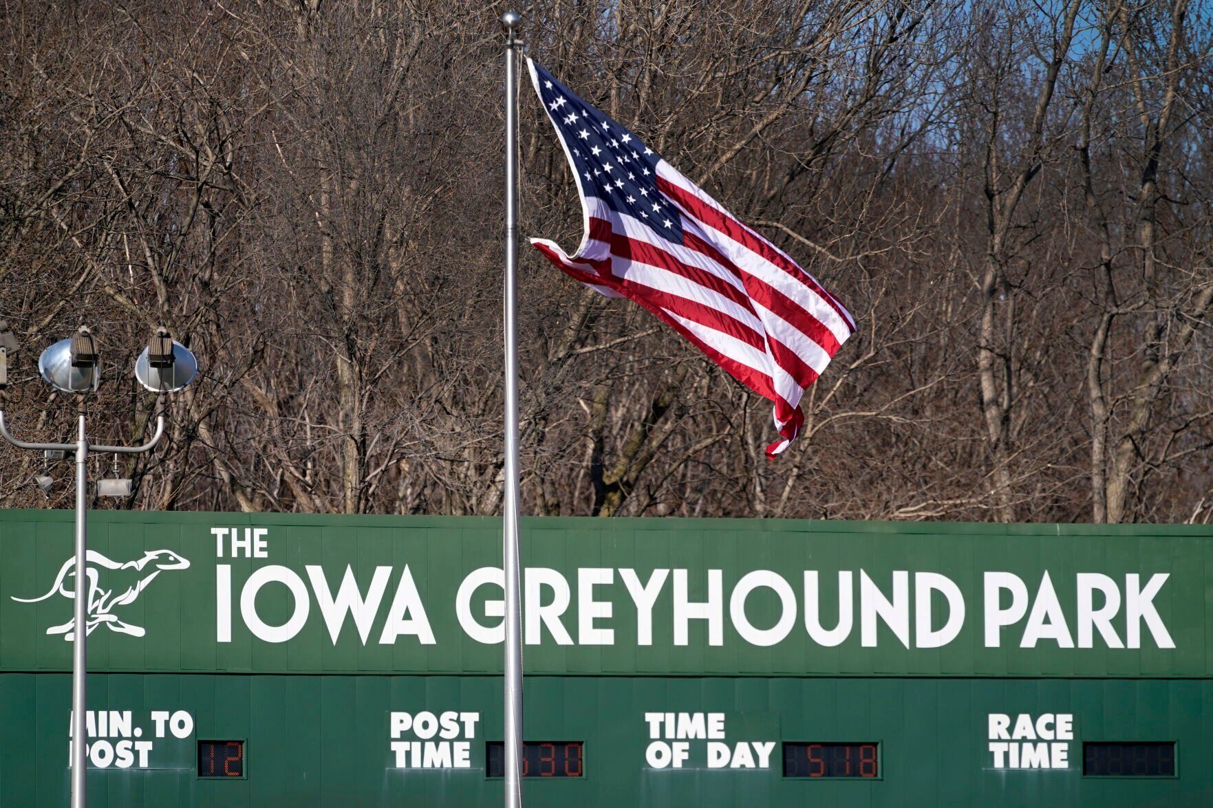 Greyhound Racing